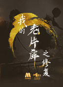 机机对机机免费视频